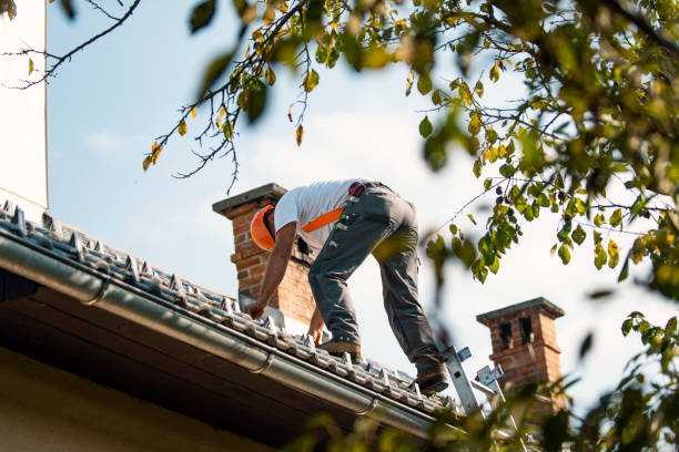 Quick and Trustworthy Emergency Roof Repair Services in Douglas, GA