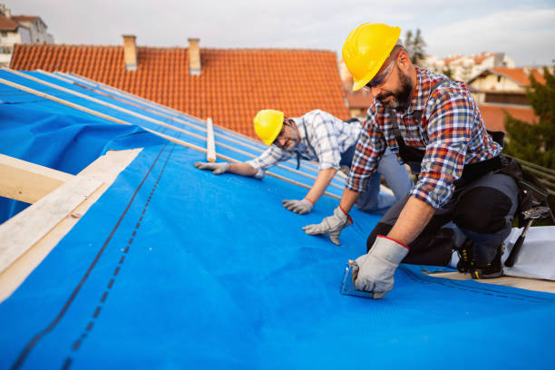 Best Roof Waterproofing Services  in Douglas, GA