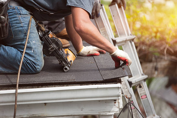 Best Roof Gutter Cleaning  in Douglas, GA